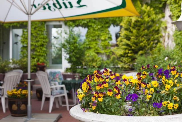 Sporthotel Malchow Hotel Garni Hp Ist Moeglich Экстерьер фото